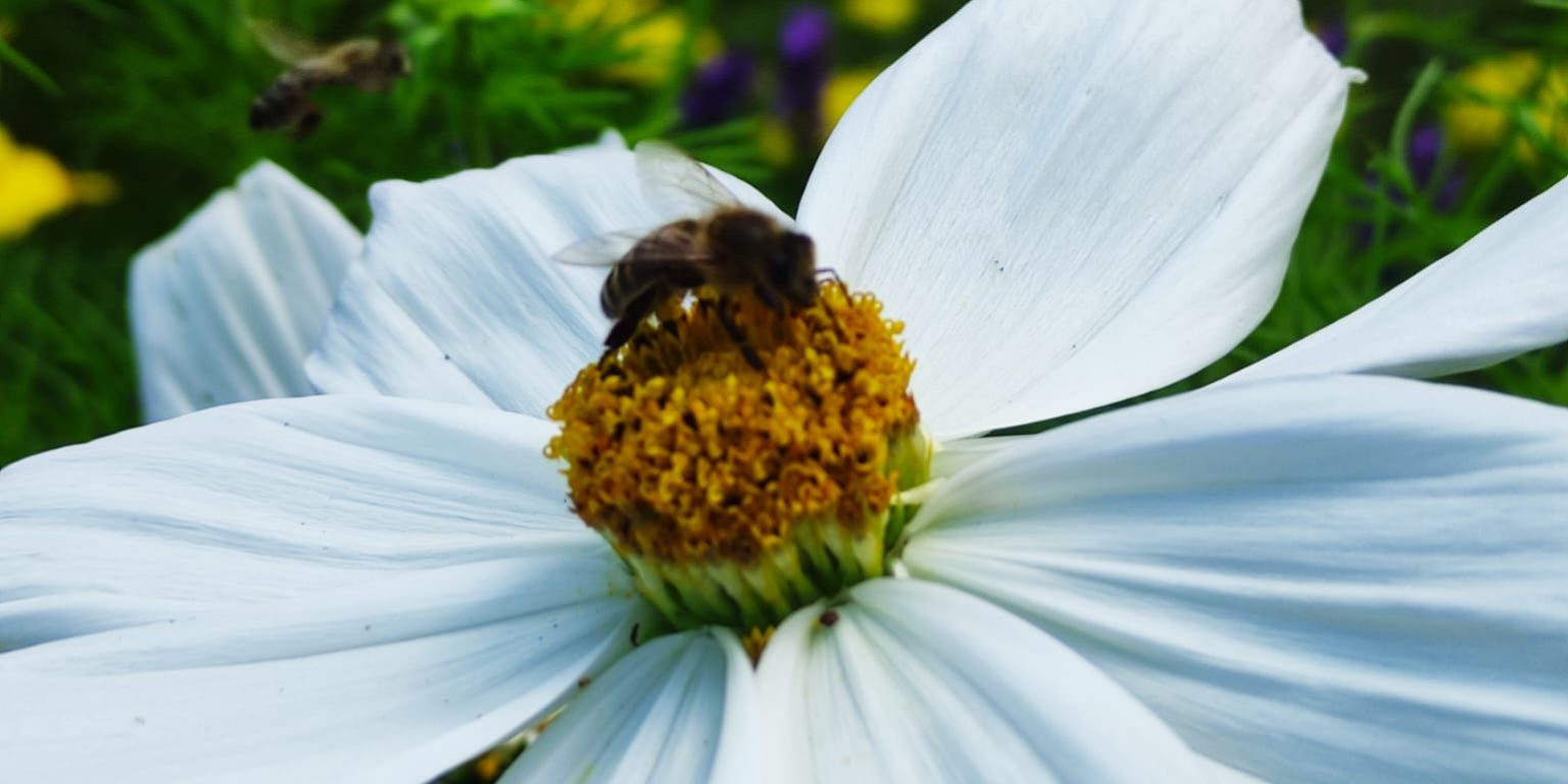 WhatsApp Bild 2024-07-04 um 21.39.17_2b0cec00