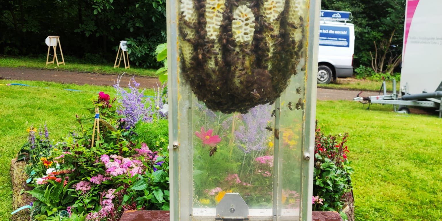 WhatsApp Bild 2024-07-04 um 21.45.57_2a0573e8